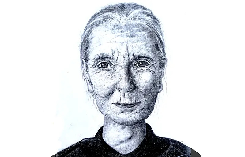 Portrait au crayon réaliste femme jane goodall.